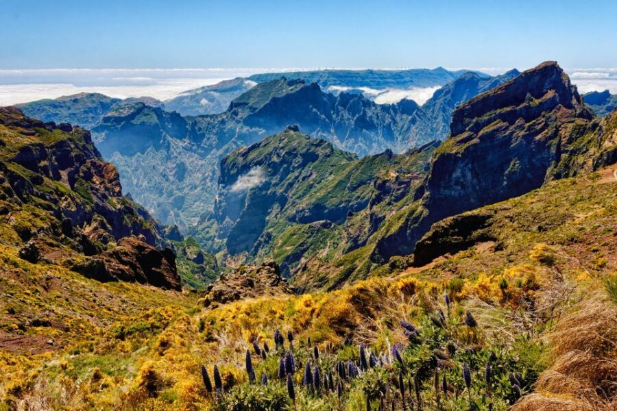 Funchal: East Madeira Island Guided Tour & Laurissilva Walk - Faial’s Guindaste viewpoint: northeast coast photos, no stress