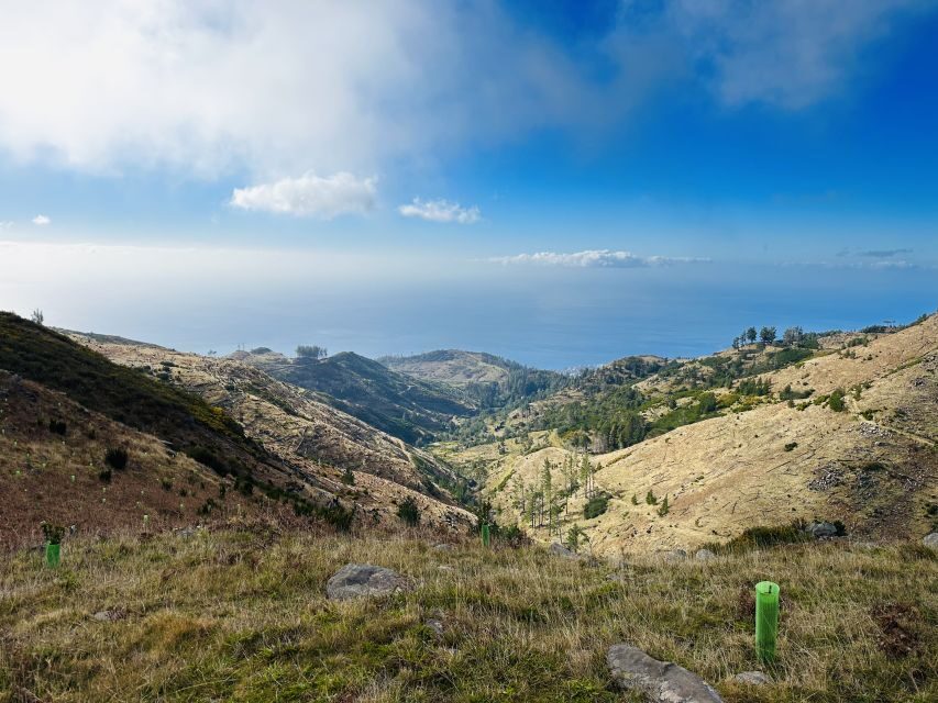 Funchal: East Madeira Island Guided Tour & Laurissilva Walk - The drive and guide experience: what makes it work