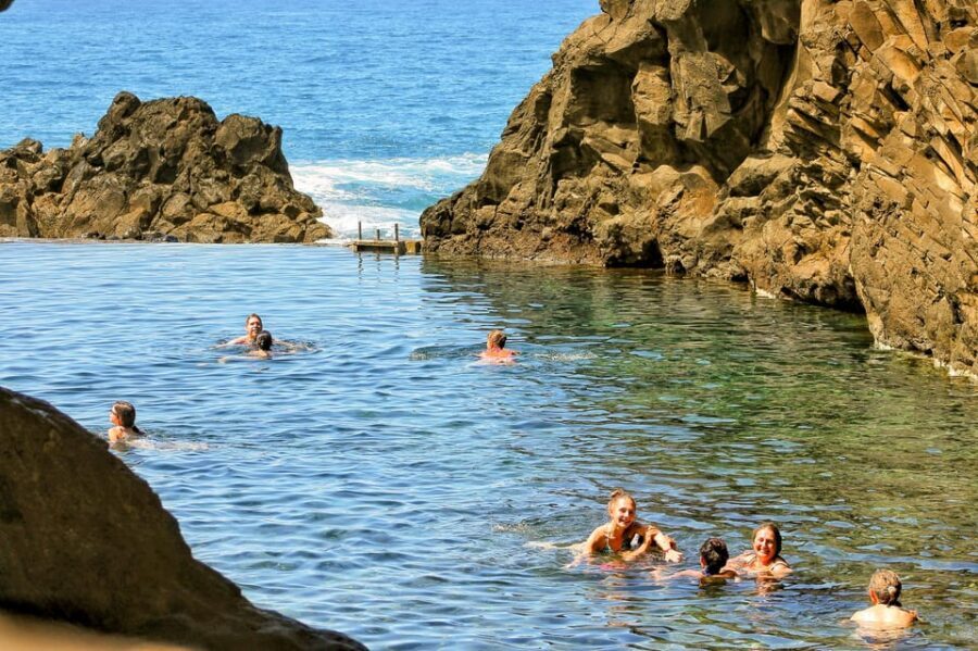 Funchal: Enchanted Terraces, Porto do Moniz & Fanal 4WD Tour - Price and Value: Is $74 a Fair Deal for an 8-Hour Day?