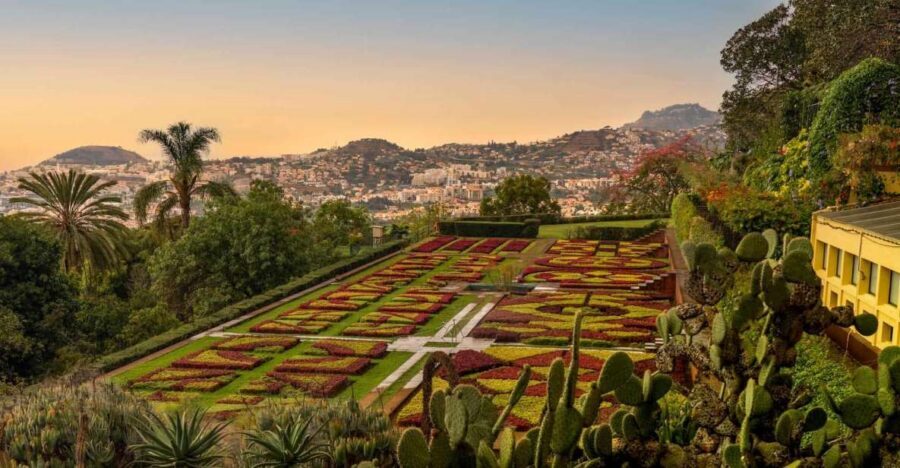 Funchal: Guided Old Town Tuk Tuk Tour and Botanical Gardens - How the Guides Make the Difference (Yes, Even in 2 Hours)