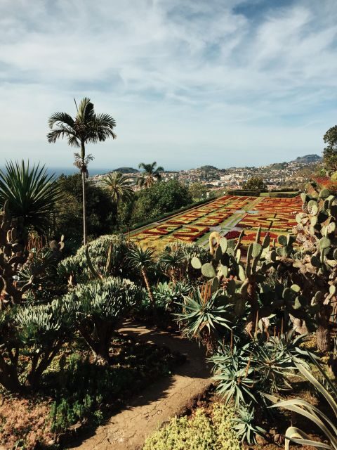 Funchal: Guided Old Town Tuk Tuk Tour and Botanical Gardens - Old Town Funchal Stops: Sé Cathedral, the Market, and Rua Fernão Ornelas