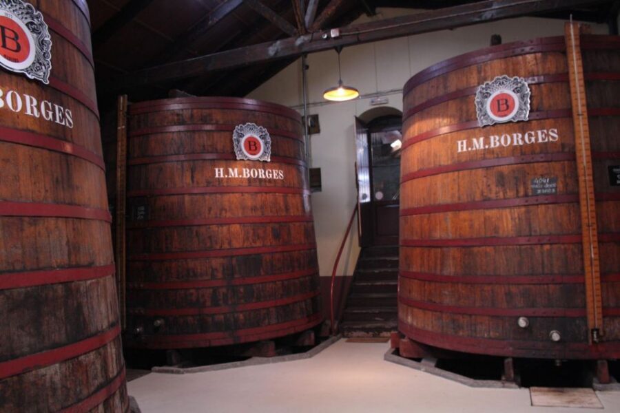 Funchal: H.M. Borges Winery Guided Tour with Wine Tasting - The tasting-room setting: Max Römer art and a real sense of place