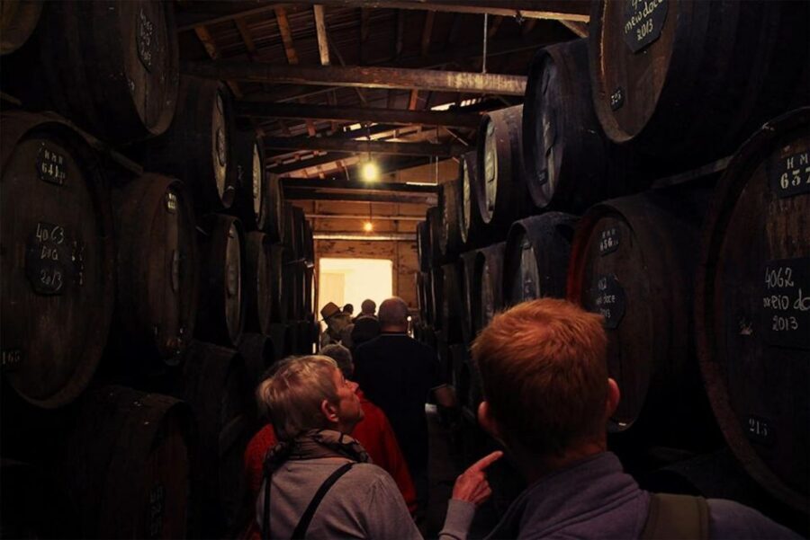 Funchal: H.M. Borges Winery Guided Tour with Wine Tasting - The guided tour: what you’ll actually see and learn