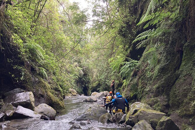 Funchal: Half-day Beginners Canyoning - Level I canyoning: what beginner mode feels like