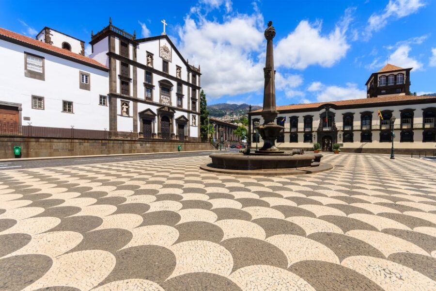 Funchal: Hop-On Hop-Off Bus Tour - Who Should Book the Yellow Bus (and Who Might Feel Frustrated)