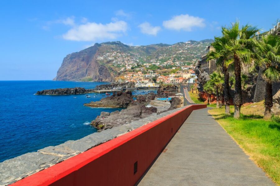 Funchal: Hop-On Hop-Off Bus Tour - Entering Funchal By Bus: Why the Yellow Line Feels Efficient