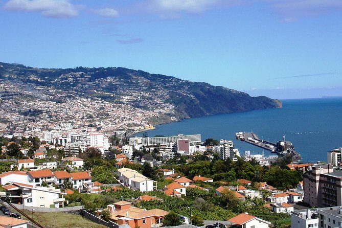 Funchal Hop-On Hop-Off Tour 3 in 1 - Stop-by-stop guide: what each cluster is best for