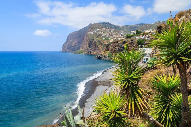Funchal Hop-On Hop-Off Tour 3 in 1 - Route 1: Funchal loop with Town Hall, Cathedral, and Lavradores Market