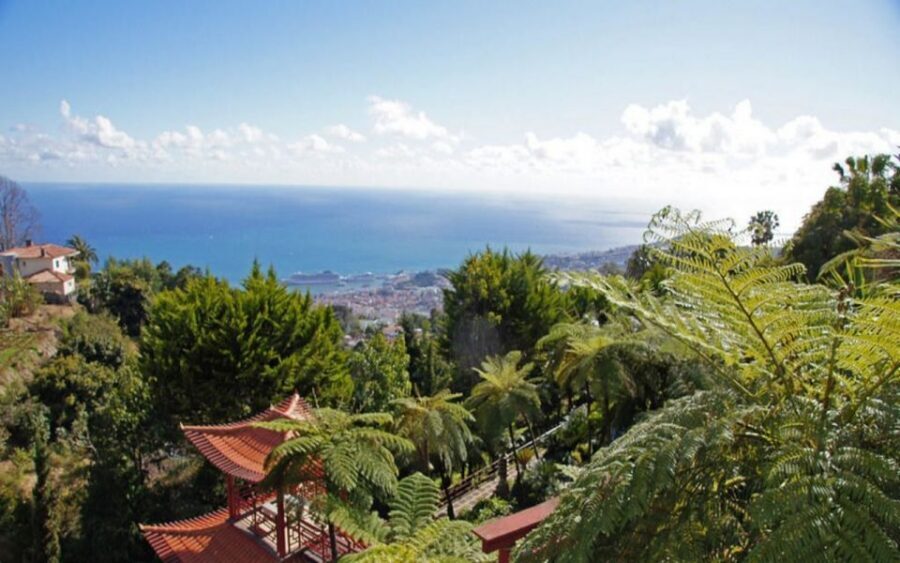 Funchal: Monte Palace Tropical Gardens Tuk Tuk Tour - The Church Stop: A Quiet Detour With Big Charm