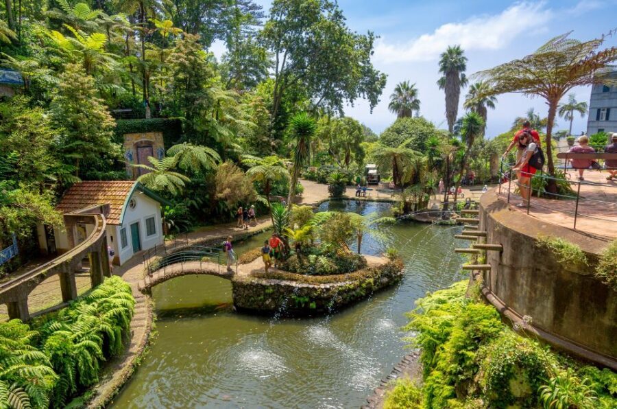 Funchal: Monte Palace Tropical Gardens Tuk Tuk Tour - Your Route From Funchal Center to Viewpoints and the Monte Area