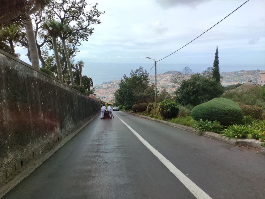 Funchal: Monte Toboggan and Old Town Tour by Tuk-Tuk - Quick take: what makes this Monte Toboggan tour work