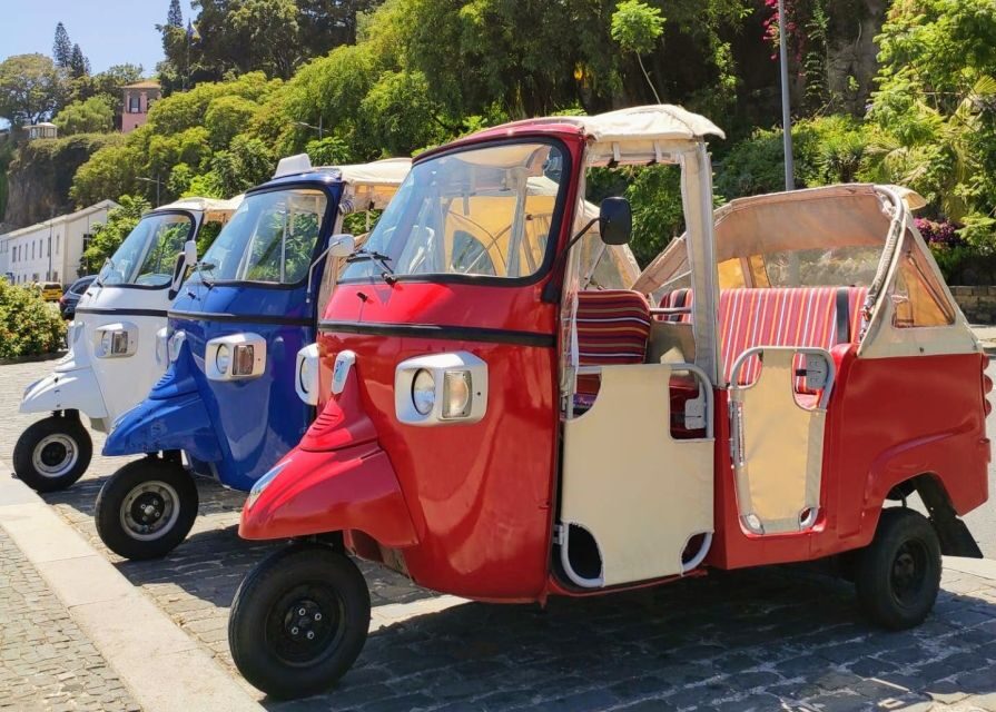 Funchal: Monte Toboggan and Old Town Tour by Tuk-Tuk - Monte Toboggan in the basket cart: your 2-kilometer descent