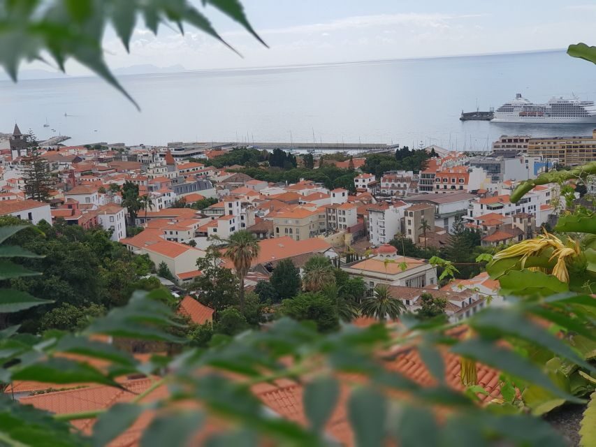 Funchal: Monte Toboggan and Old Town Tour by Tuk-Tuk - Who this tour suits best in Madeira