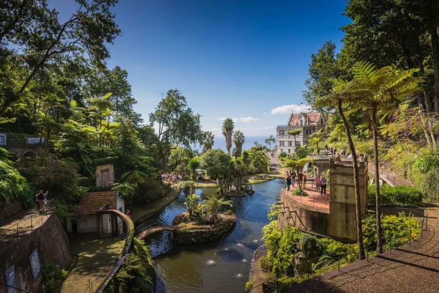 Funchal: Monte Tropical Garden & Toboggan Ride by Tuk Tuk - Who should book this tuk tuk + toboggan tour