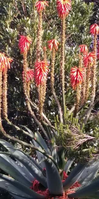 Funchal: Nuns Valley Easy Walk with Mountain Surroundings - Key highlights
