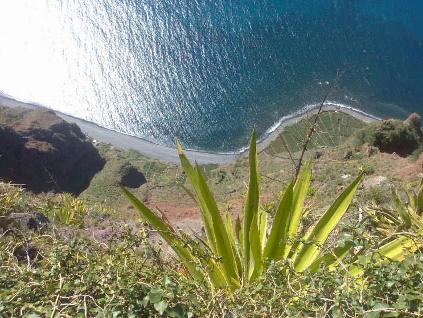 Funchal: Nuns Valley Half Day Tour - Pickup and drop-off: where to meet the driver and how fast you must be ready