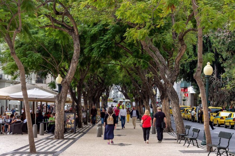Funchal: Old Town Walking Tour - Farmers’ Market pacing: browse on purpose, not randomly