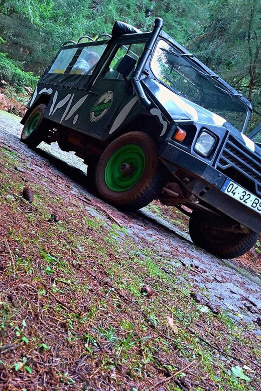 Funchal: Pico do Areeiro to Santana 4x4 East Tour - Cova da Roda Trail and the off-road adventure stretch