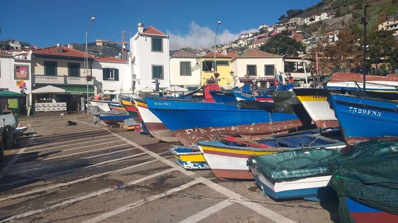 Funchal Private 4-Seater VIP Mercedes / 8-Seater Minibus - Wheelchair access and family-friendly private touring
