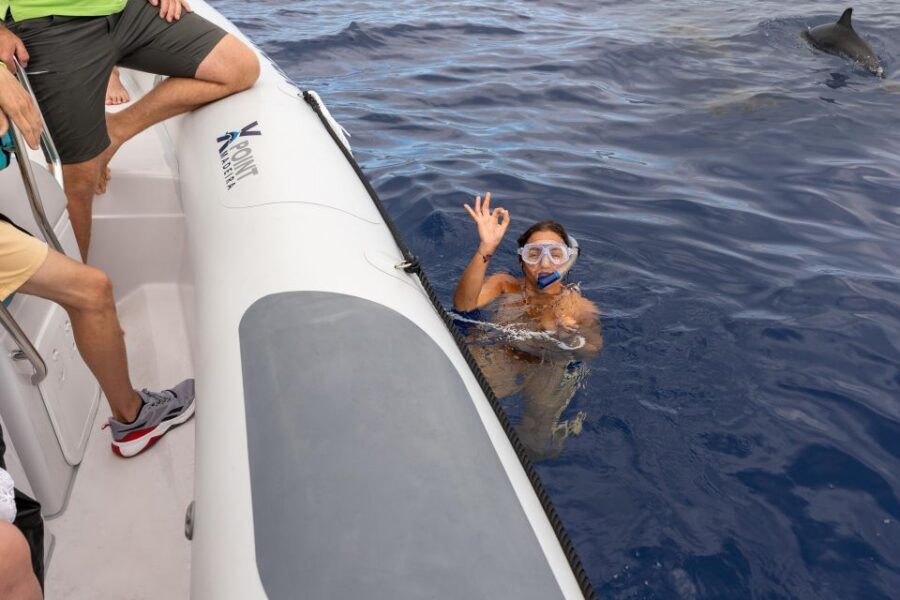 Funchal: RIB Whale Watching Cruise and Optional Dolphin Swim - Why a small-group RIB works so well off Funchal