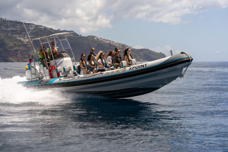 Funchal: RIB Whale Watching Cruise and Optional Dolphin Swim - From Funchal harbor to the open ocean: how spotting really happens