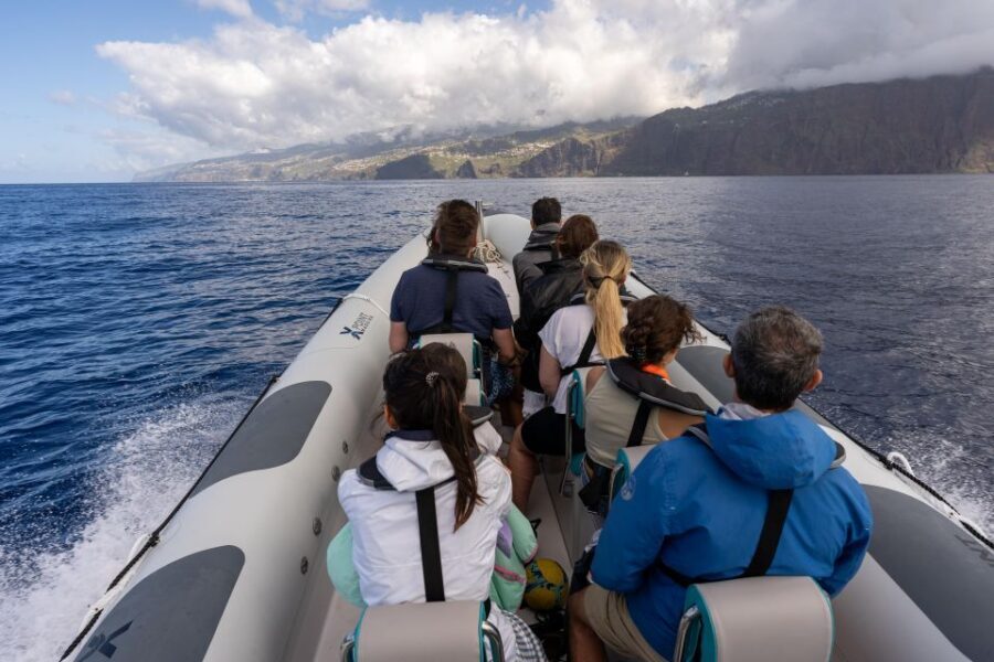 Funchal: RIB Whale Watching Cruise and Optional Dolphin Swim - What to bring and how to dress so the ride stays fun