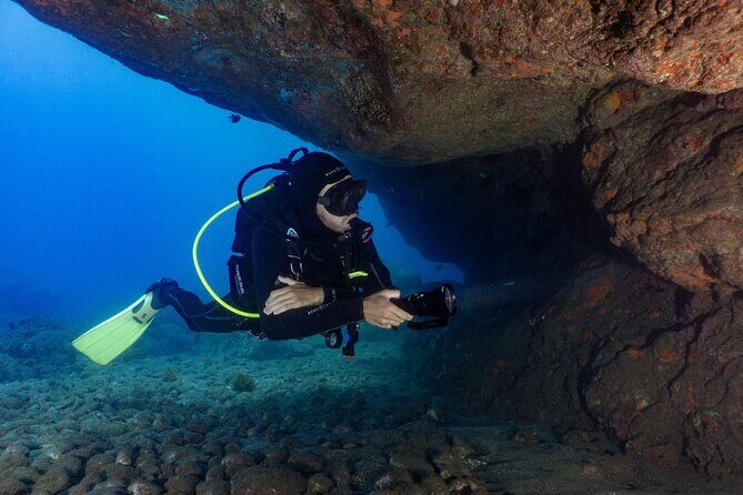 Funchal: Scuba Diving Experience for Beginners - What You’ll See Underwater: Atlantic Fish, Coral, and That Wow Moment