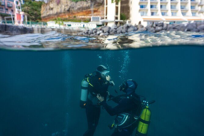 Funchal: Scuba Diving Experience for Beginners - Gear, Timing, and the Small Stuff That Impacts Your Day