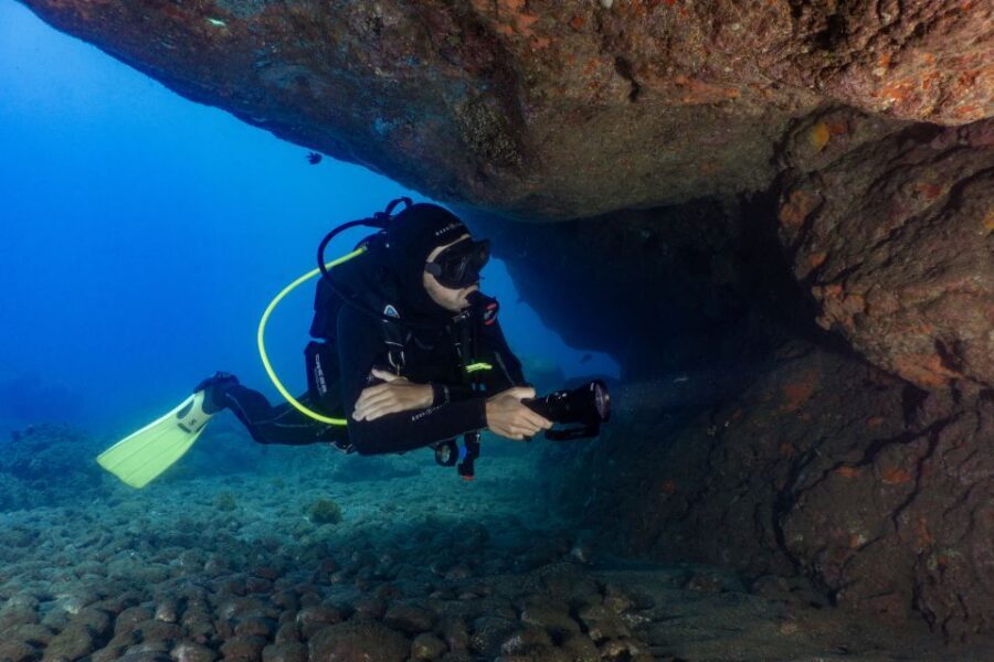 Funchal: Scuba Diving Experience for Beginners - Price and Value: Is $53 Worth It?