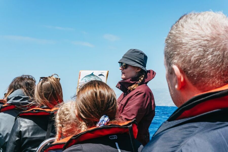 Funchal: Whale and Dolphin Watching Speed Boat Tour - FAQ