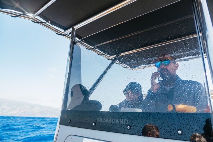 Funchal: Whale and Dolphin Watching Speed Boat Tour - Getting species right: what the biologist guides actually help you notice