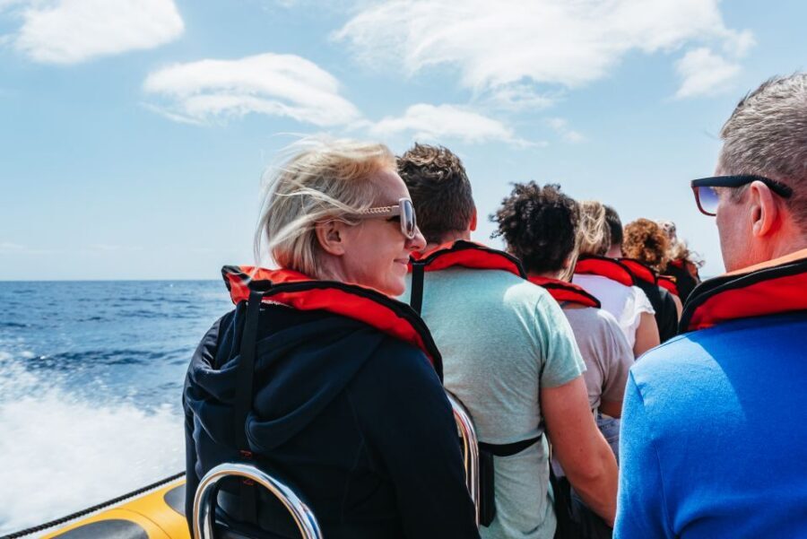 Funchal: Whale and Dolphin Watching Speed Boat Tour - Who should book this tour, and who should skip it