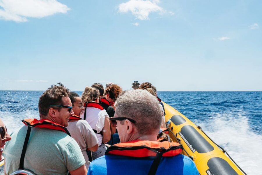 Funchal: Whale and Dolphin Watching Speed Boat Tour - Should you book the Funchal Whale and Dolphin speedboat tour?