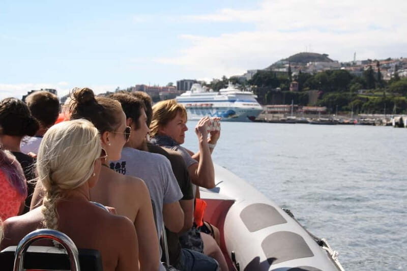 Funchal: Whale Watching and Swimming with Dolphins Cruise - Key Highlights You’ll Notice Right Away