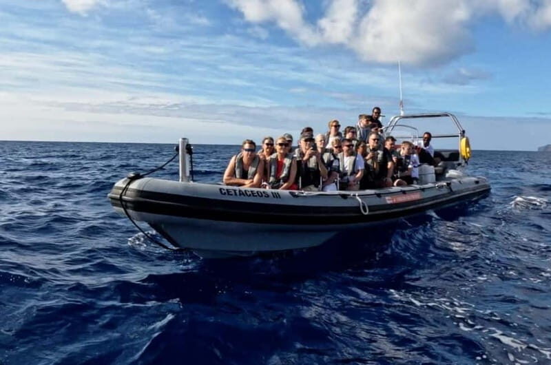 Funchal: Whale Watching and Swimming with Dolphins Cruise - What to Bring for a Better Time on the Water