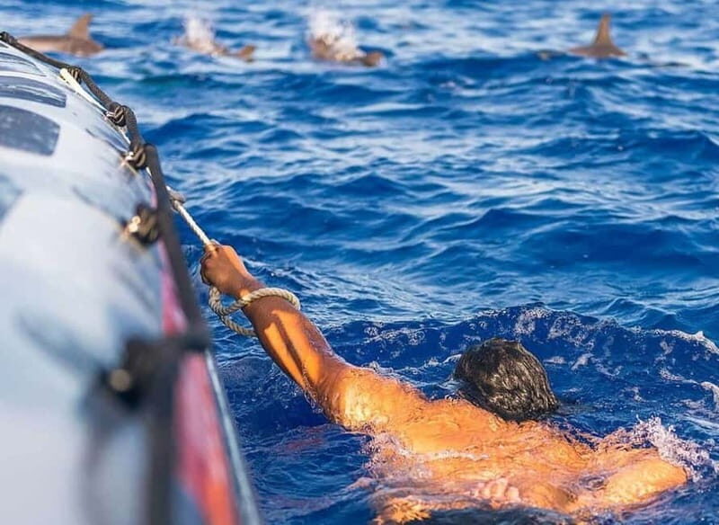Funchal: Whale Watching and Swimming with Dolphins Cruise - Safety Briefing and Life Vest: Quick, but Important