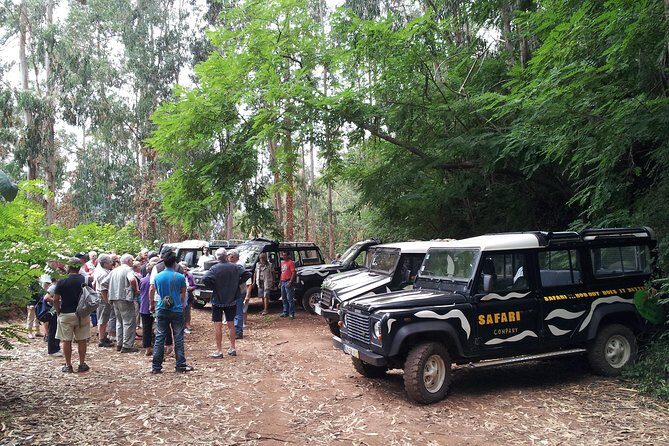 Half-Day Small-Group Madeira Village Safari from Funchal - Timing and group logistics: how to avoid wasting the day