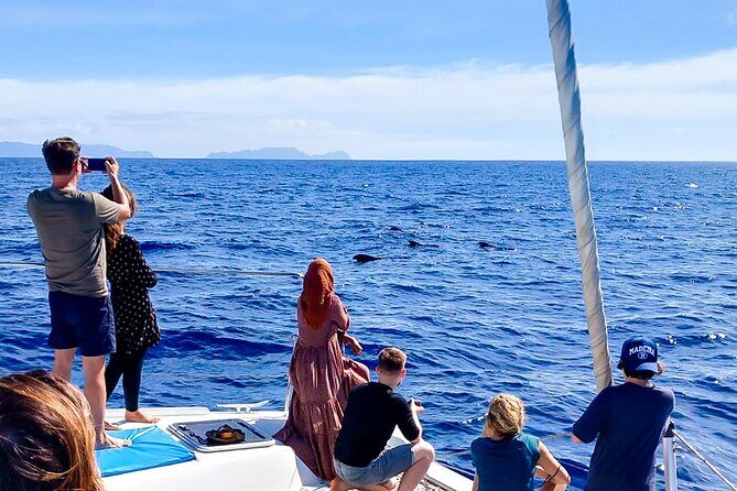 Half Day Tour on a Luxury Catamaran on Madeira Island - Swim and snorkeling: what you should bring and what to expect from the water stop