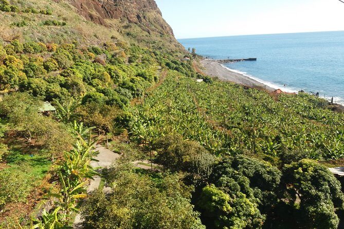 Incredible tour to a 'Faja' with a story - Stop: Fajã dos Padres and the working farm layout by the sea