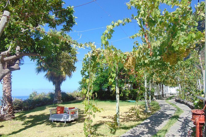 Incredible tour to a 'Faja' with a story - Fruit tasting: what’s included and what to set your expectations on
