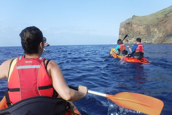 Kayak and Snorkeling Tour in Underwater Nature Reserve Garajau - Snorkeling off Garajau: what you can expect to see