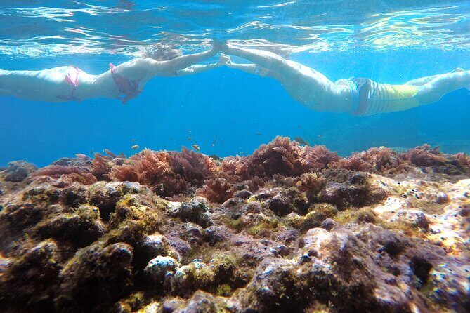 Kayak and Snorkeling Tour in Underwater Nature Reserve Garajau - Safety, guide support, and why small groups matter