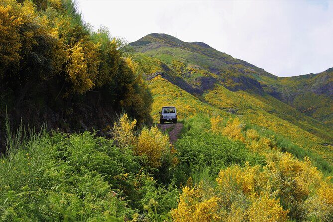 Let-Me-Surprise-You Private Full-Day Tour in All Terrain Vehicle - Price and value for up to three people