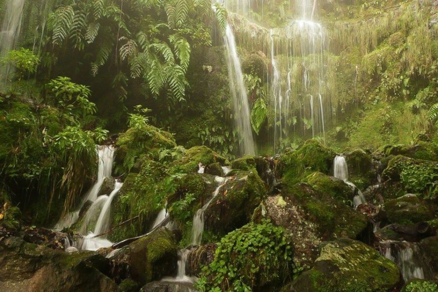 Levada Walk and Caldeirao Verde Waterfalls: Madeira - From Queimadas Forestal Park to the Levada System: The Setup That Makes It Work