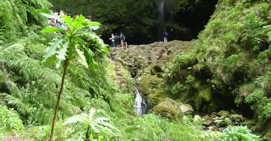 Levada Walk and Caldeirao Verde Waterfalls: Madeira - Tunnels and Heights: The One Part You Should Not Ignore