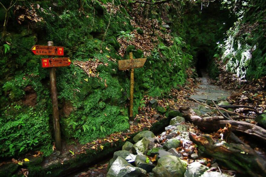 Levada Walk and Caldeirao Verde Waterfalls: Madeira - Return Hike: Same Route, Different Mood