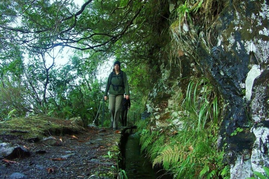 Levada Walk and Caldeirao Verde Waterfalls: Madeira - The 4.5-Hour Levada Walk: Stone Paths, Forest Life, and the Real Terrain