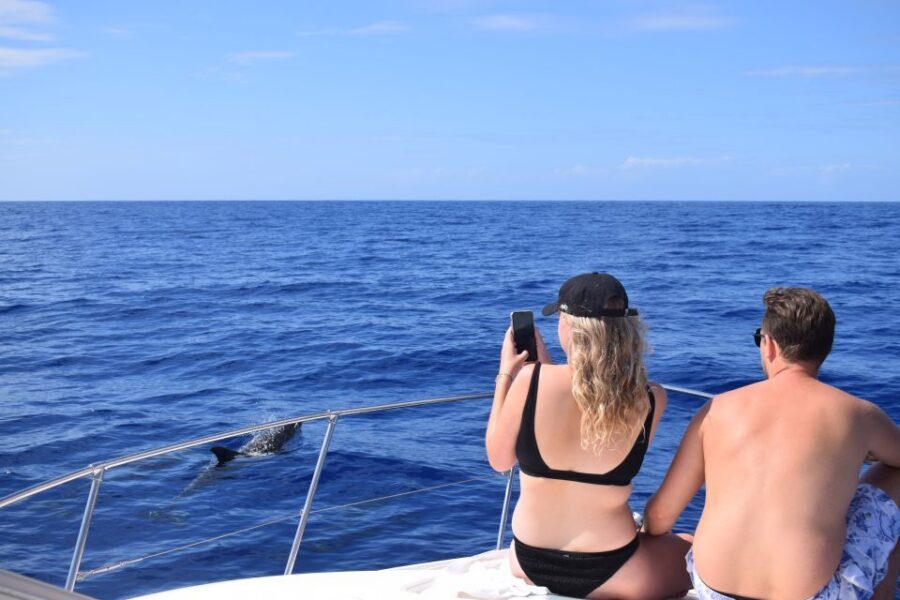 Madeira: 2.5-Hour Whale and Dolphin-Watching Cruise - The swim and snorkel stop: warm water, rocky bottoms, and marine life up close