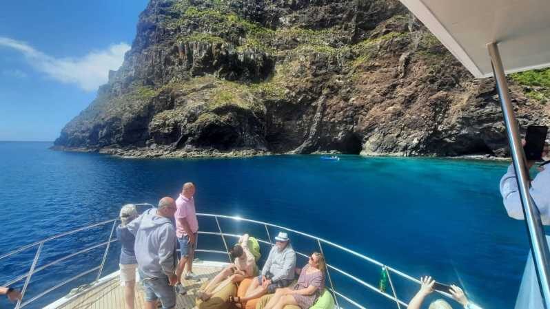 Madeira: Boat Trip with Lunch, Drinks, and Hotel Transfer - Dolphins, and sometimes whales: what the cruise is really about