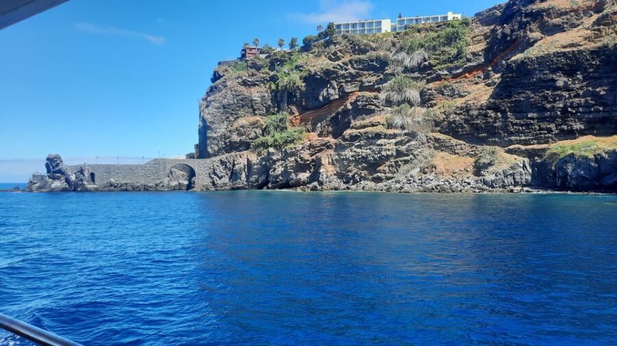 Madeira: Boat Trip with Lunch, Drinks, and Hotel Transfer - The swim and snorkel stop in crystal-clear water